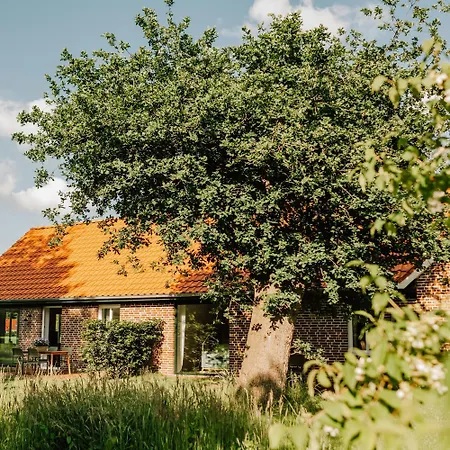 Дом отдыха Modern With Charm And Swimming Pond Wiefelstede